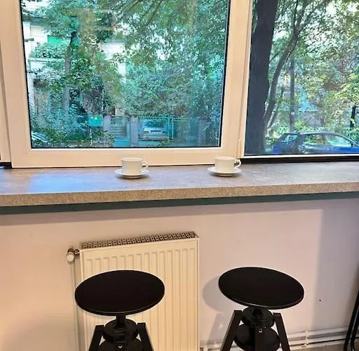 Location #12lunipebega Timişoara