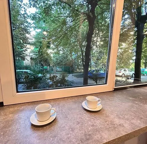 Location #12lunipebega Timişoara