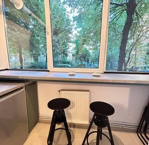 Location #12lunipebega * Timişoara